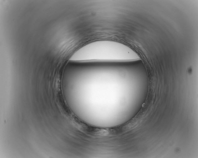 X0000094380083200711020835