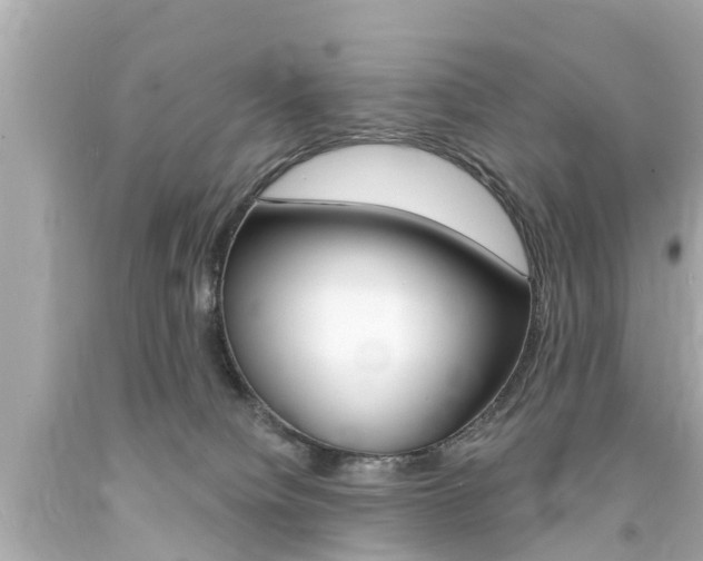 X0000094380084200711020835