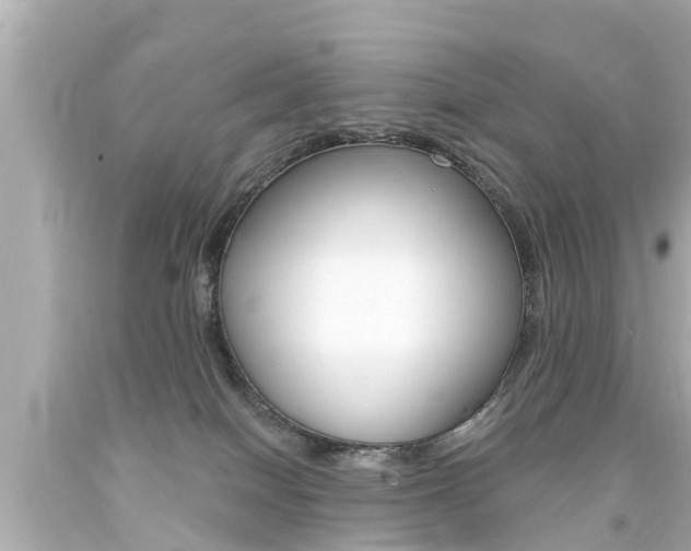 X0000094380086200711020835