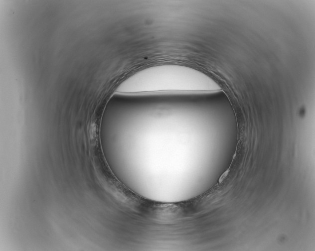 X0000094380087200711020835