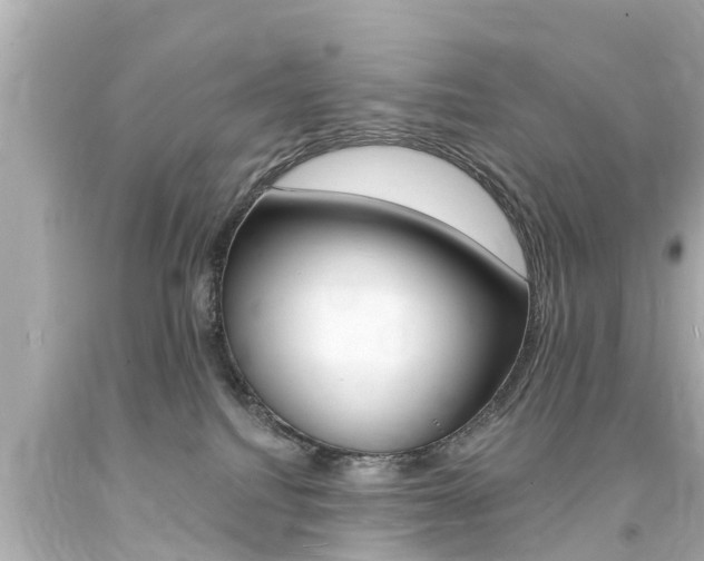 X0000094380088200711020835