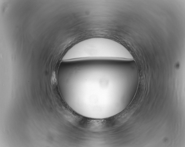 X0000094380089200711020835