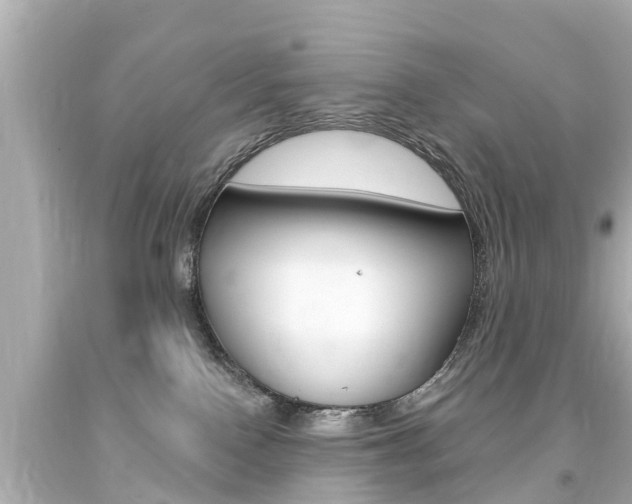 X0000094380090200711020835