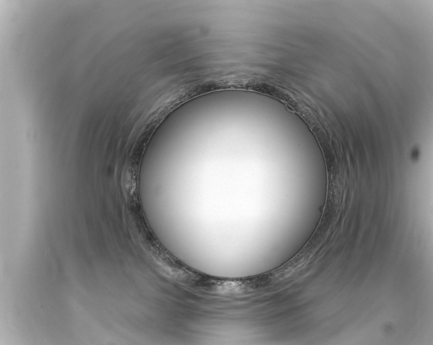 X0000094380091200711020835