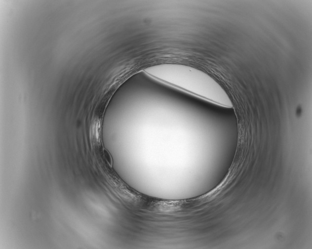 X0000094380094200711020835