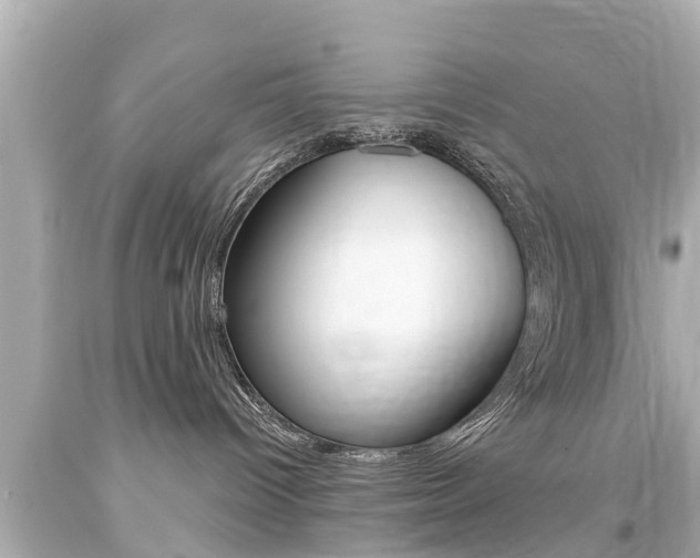 X0000094380096200711020835