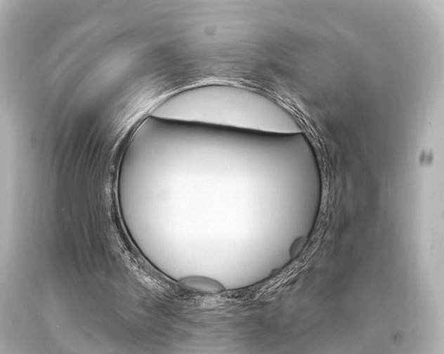 X0000094380098200711020834
