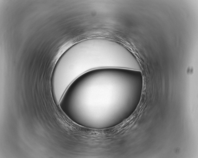 X0000094380099200711020834