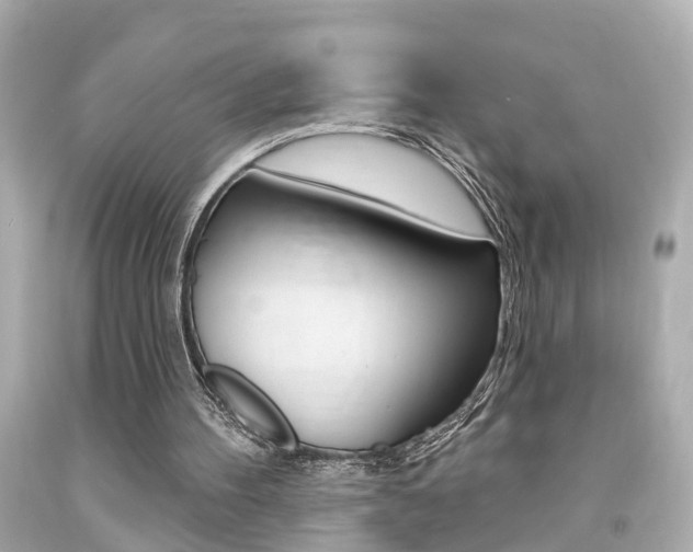 X0000094380100200711020834