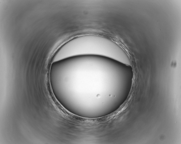 X0000094380101200711020834