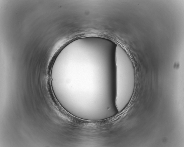 X0000094380102200711020834