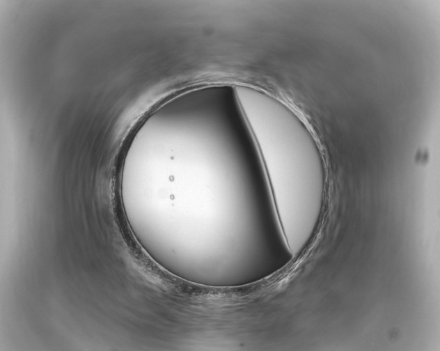 X0000094380103200711020834