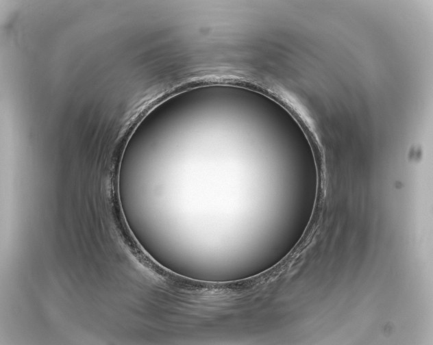X0000094380105200711020834