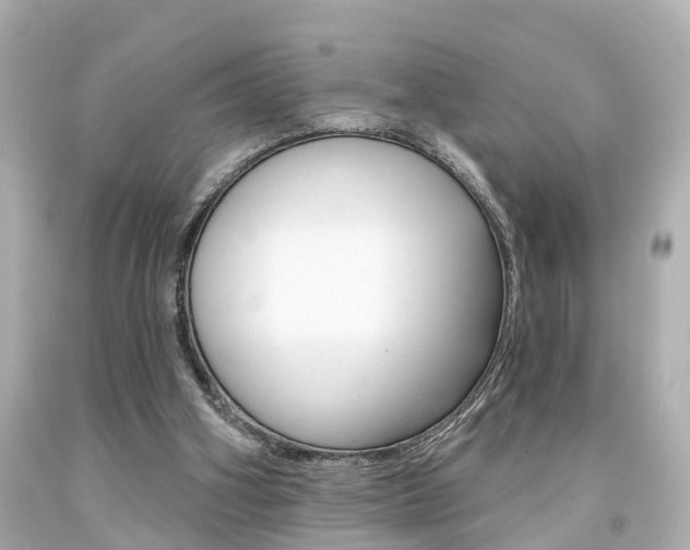 X0000094380106200711020834