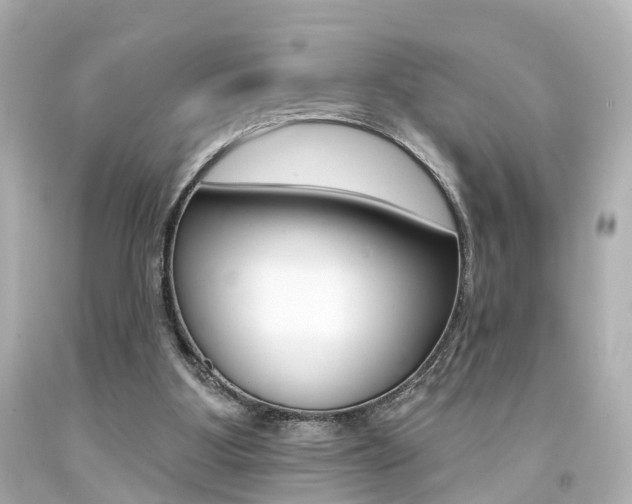 X0000094380107200711020834