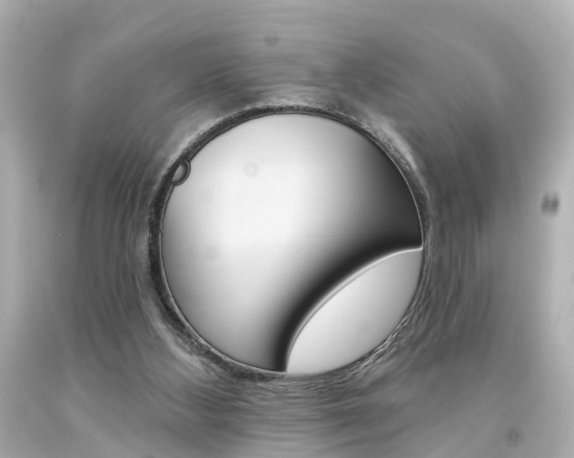 X0000094380108200711020834