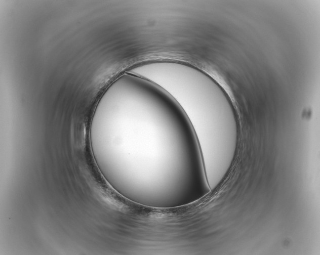 X0000094380109200711020834