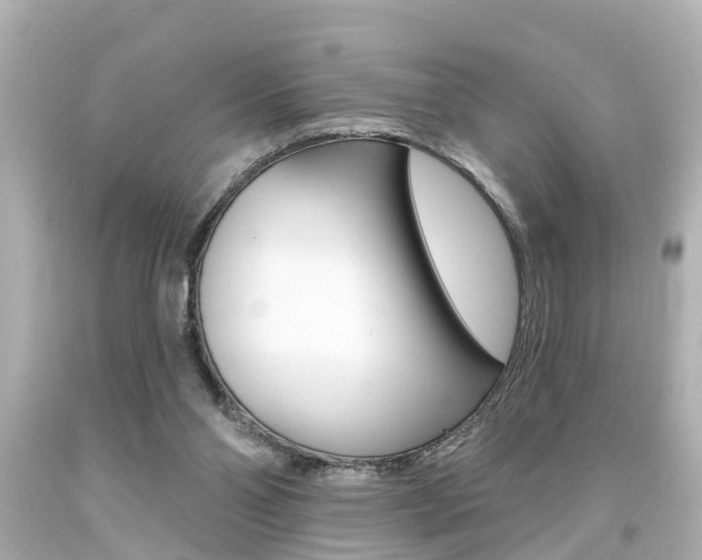 X0000094380110200711020834