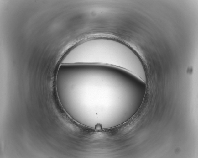 X0000094380111200711020834