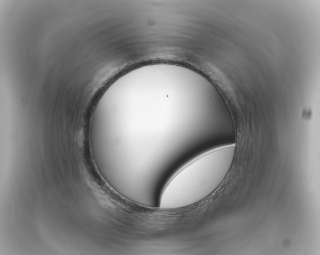 X0000094380112200711020834