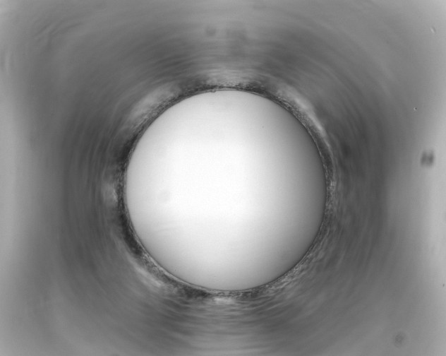 X0000094380114200711020834