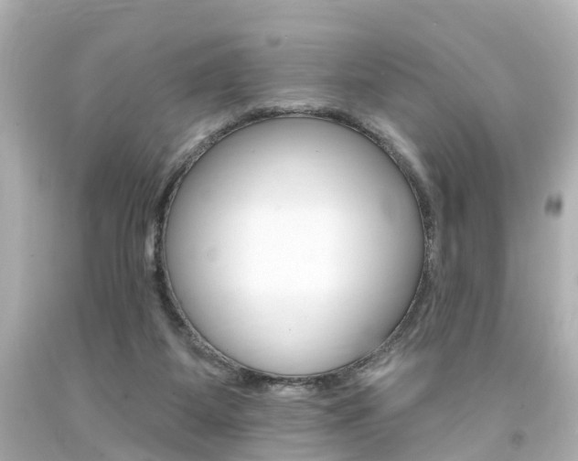 X0000094380115200711020834