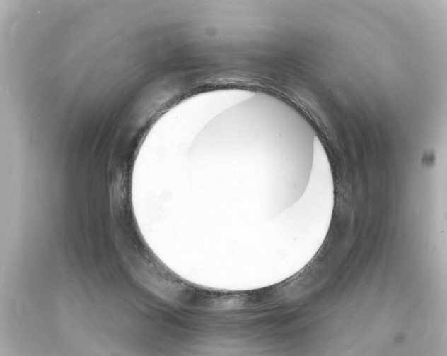 X0000094380116200711020834