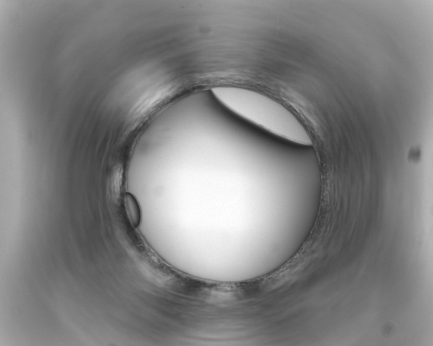 X0000094380118200711020834