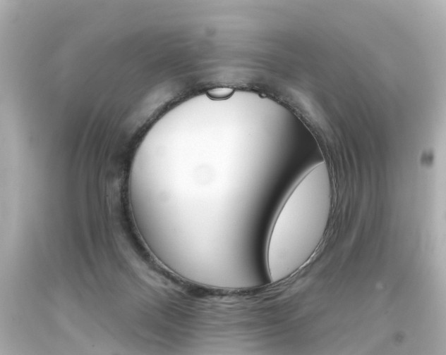 X0000094380120200711020834