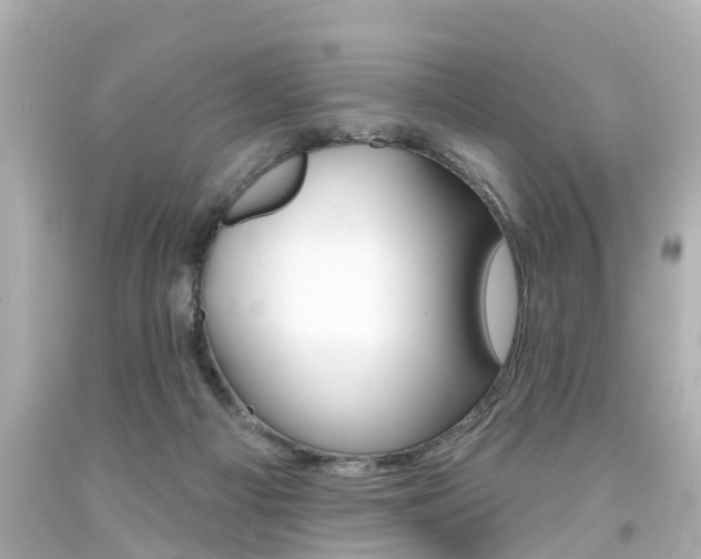 X0000094380121200711020834