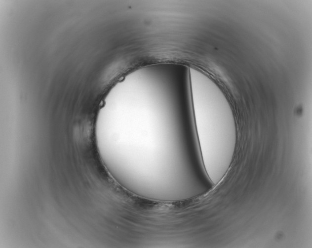 X0000094380124200711020834