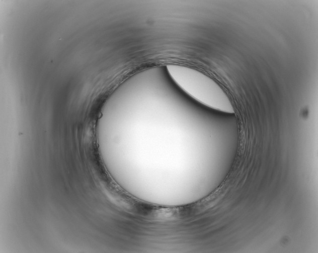 X0000094380126200711020833