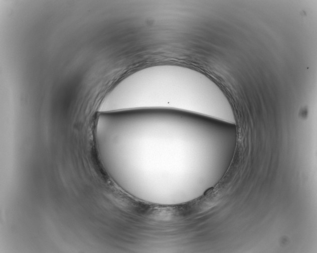 X0000094380127200711020833