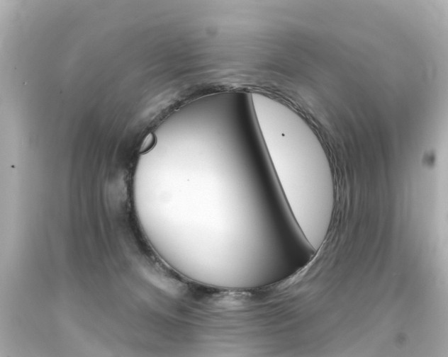 X0000094380128200711020833