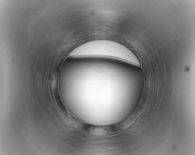 X0000094380129200711020833