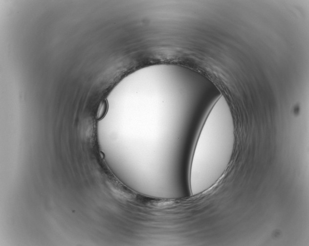 X0000094380132200711020833