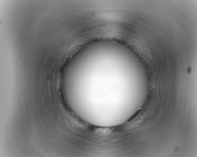 X0000094380133200711020833