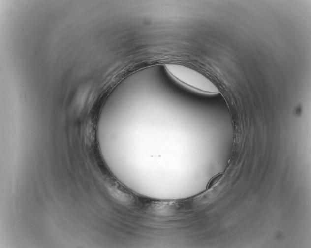 X0000094380136200711020833