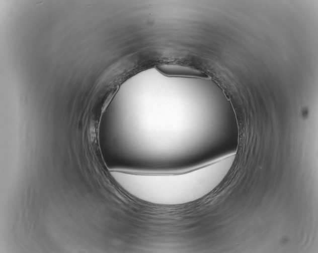 X0000094380137200711020833