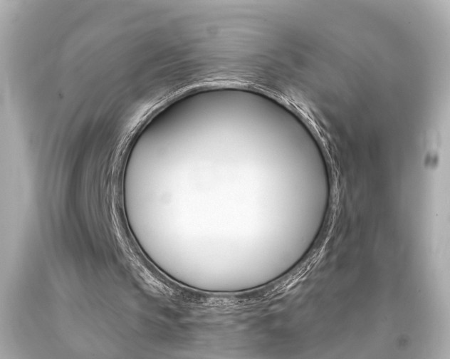 X0000094380145200711020833