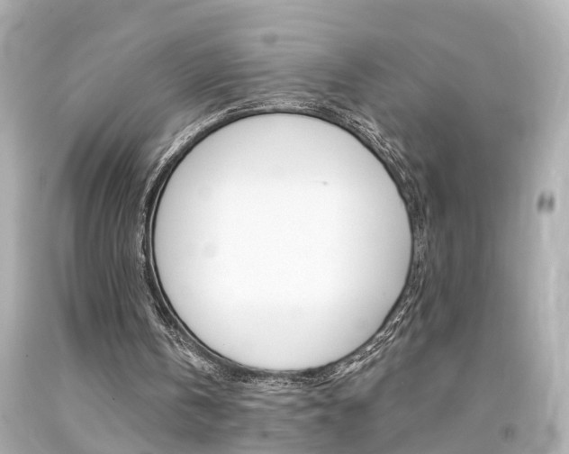 X0000094380146200711020833