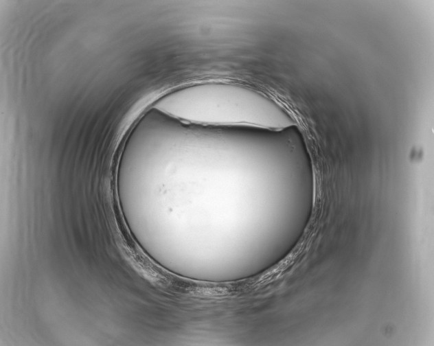 X0000094380147200711020833
