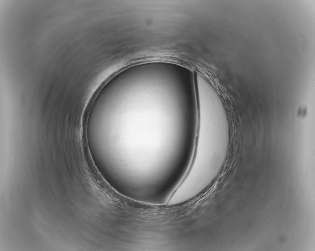 X0000094380148200711020833