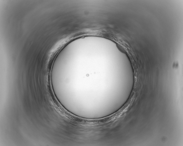 X0000094380149200711020833