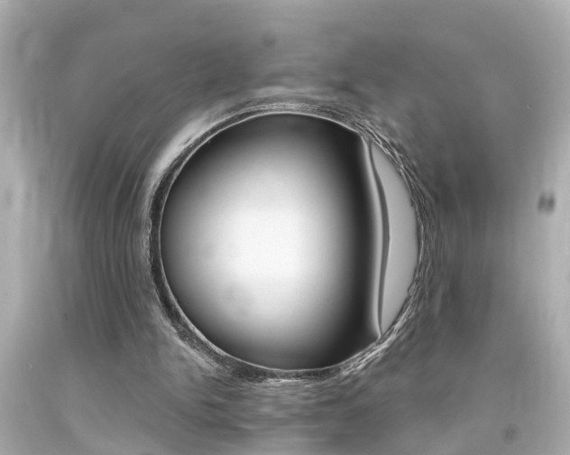 X0000094380150200711020833