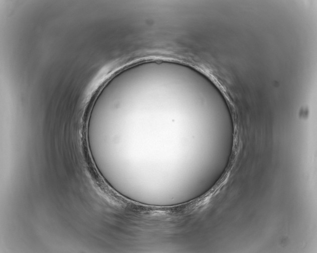 X0000094380151200711020833