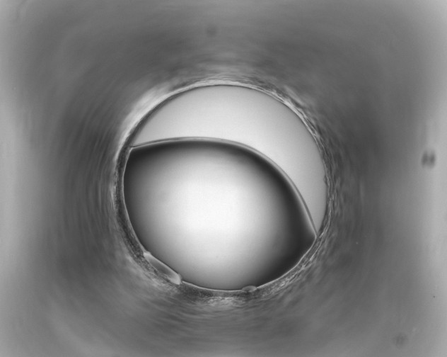X0000094380152200711020833