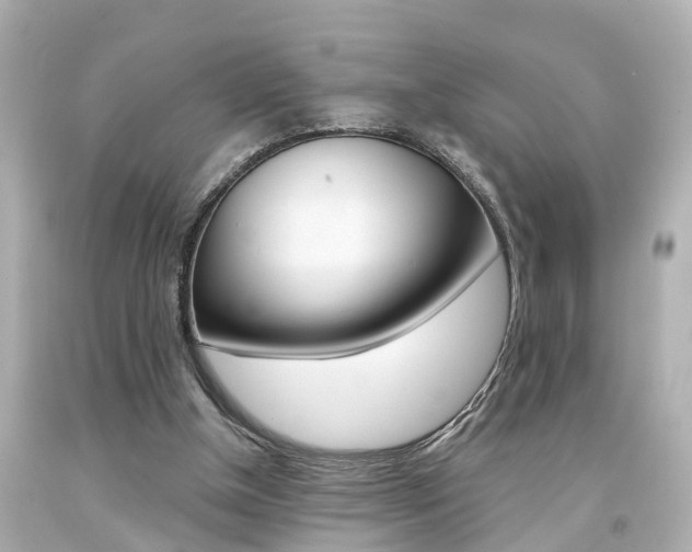 X0000094380154200711020833