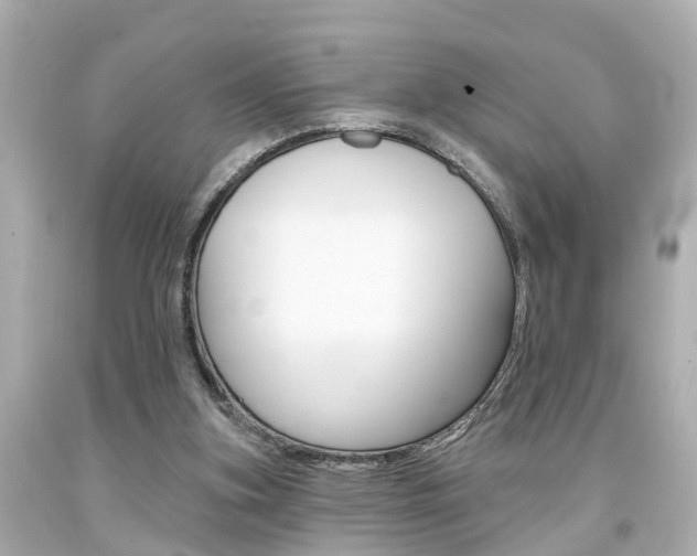 X0000094380155200711020833