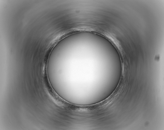 X0000094380157200711020833